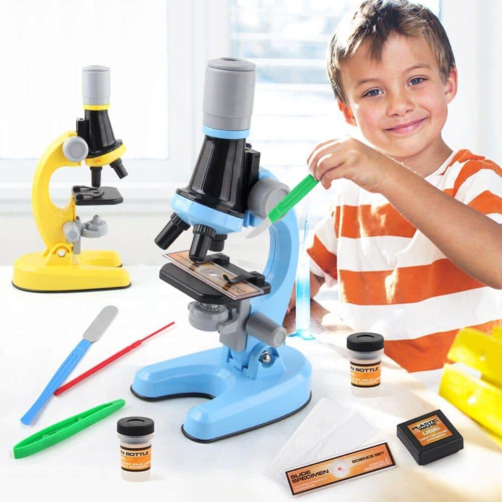 Zalati Hahn-Wachstumszyklus Spielzeug – 4-teiliges Set (Ei, Küken, Hahn), Biologisches Lernmodell Für Kinder
