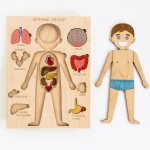 Puzzle menschlicher Körper aus Holz zum Bemalen für Kinder