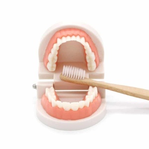 Zahnputzspielzeug mit offenem Mund und Zahnbürste aus Holz