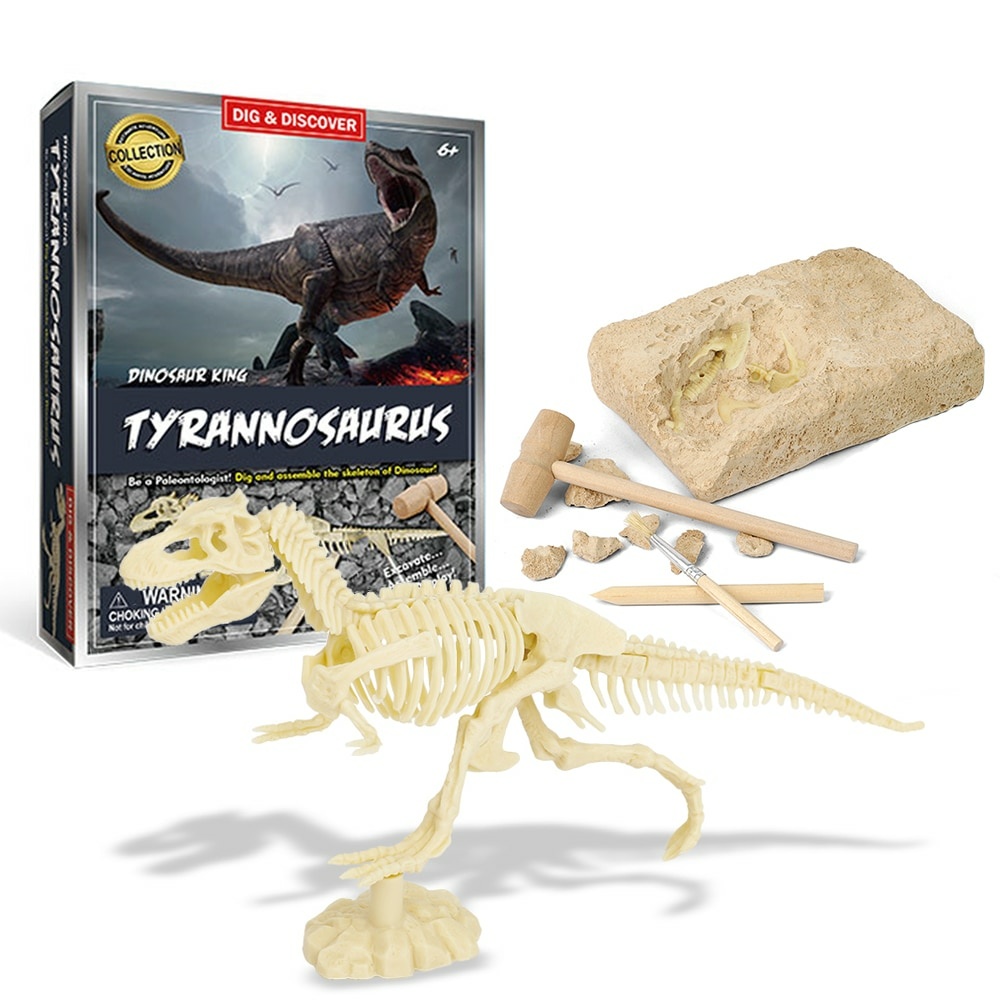 Exquisites Dinosaurierfossil-Ausgrabungsset für Kinder mit Skelett t rex